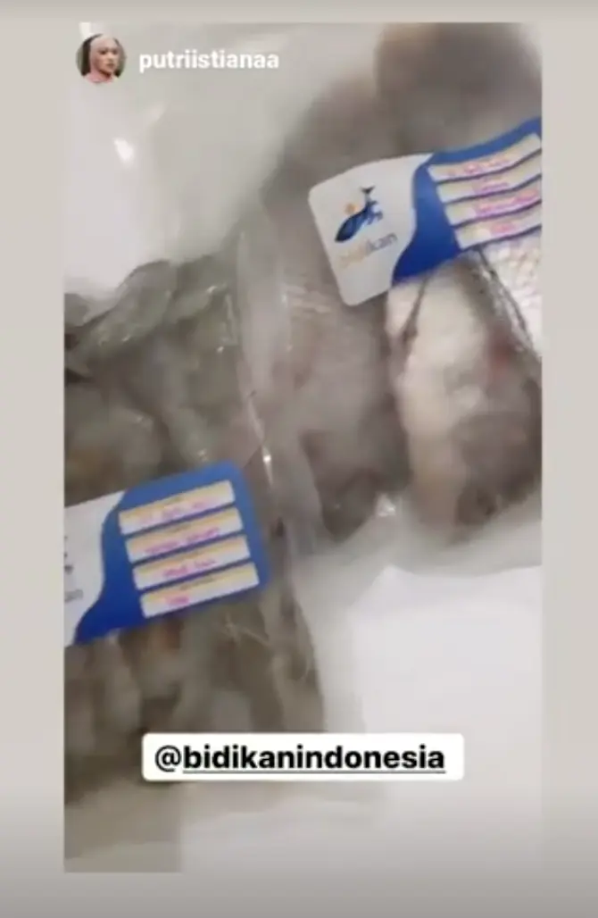 Testimoni Instagram: paket ikan dan udang segar dari pelanggan